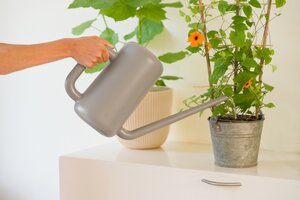 Nature gieter taupe 3.8 liter - afbeelding 2