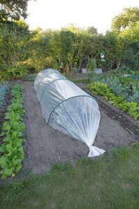 Nature groei-afdekfolie transparant 2x5 meter - afbeelding 2