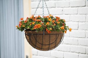 Nature hanging basket 25 cm groen - afbeelding 2