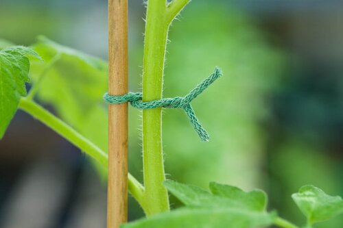 Nature jute touw groen met ijzeren kern - afbeelding 2