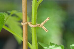 Nature jute touw naturel met ijzeren kern - afbeelding 2