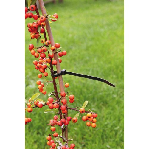 Nature kabelbinders tyraps nylon zwart 20 cm 25 stuks - afbeelding 3