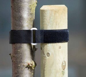 Nature klittenboomband met gesp 2 stuks - afbeelding 2