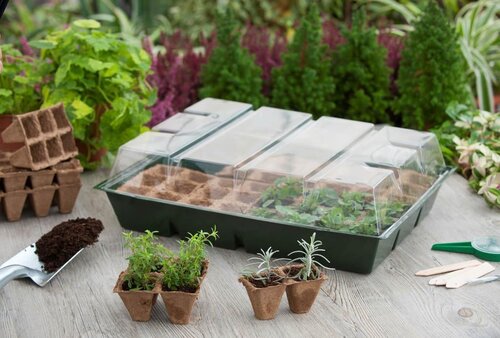 Nature kweekset maxi 43x32x13 cm - afbeelding 2