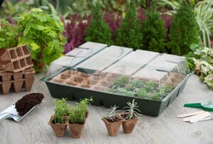 Nature kweekset maxi 43x32x13 cm - afbeelding 2