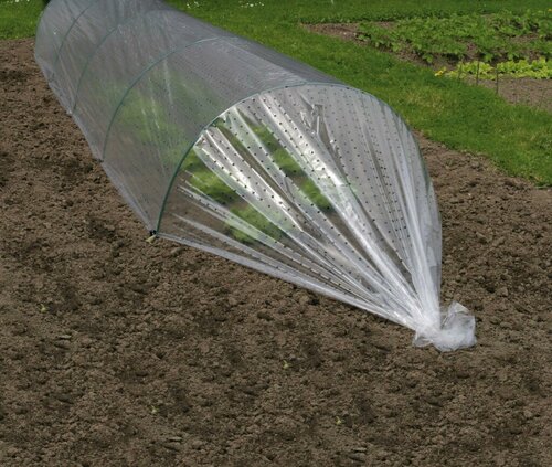 Nature moestuinfolie geperforeerd 5x2 meter transparant - afbeelding 2