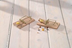 Nature muizenval hout 10x4,5 cm 2 stuks - afbeelding 2