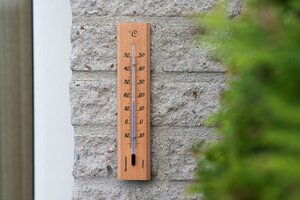Nature muurthermometer hout 19cm - afbeelding 2