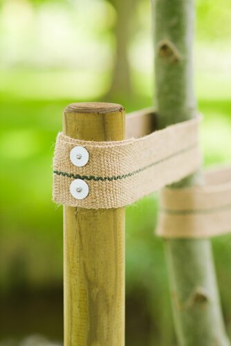 Nature nagels plat 10 stuks - afbeelding 2