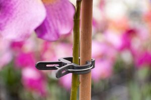 Nature plantenclip 24 mm set a 10 stuks - afbeelding 2