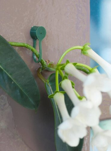 Nature plantenklemmen groen - afbeelding 2