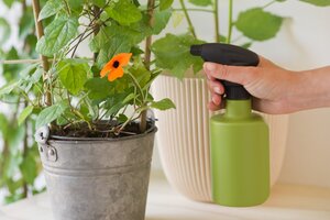 Nature plantenspuit groen 0.5 liter - afbeelding 2