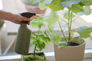 Nature plantenspuit groen 1 liter - afbeelding 2