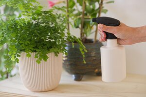 Nature plantenspuit ivoor 0.5 liter - afbeelding 2