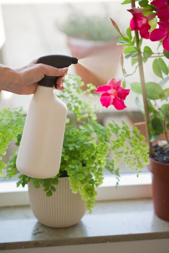 Nature plantenspuit ivoor 1 liter - afbeelding 2