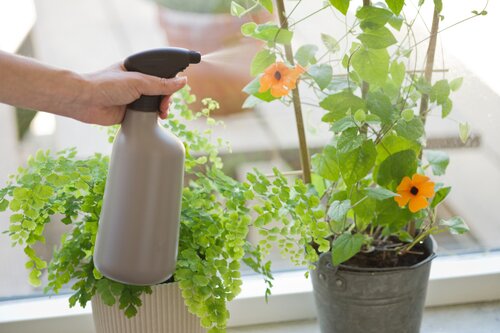 Nature plantenspuit taupe 1 liter - afbeelding 2