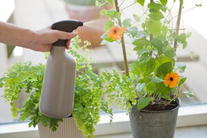 Nature plantenspuit taupe 1 liter - afbeelding 2