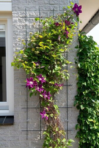 Nature plantklimrek metaal groen 42,5 x 145 cm - afbeelding 2