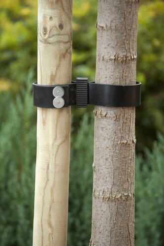 Nature rubber canvas boomband 2 stuks - afbeelding 2