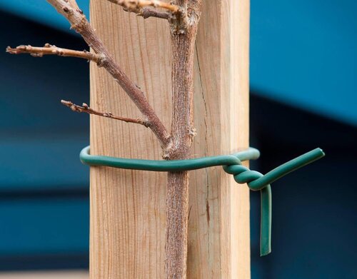 Nature rubberband met draad in kern 10m - afbeelding 2