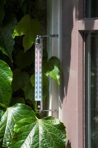 Nature thermometer metalen frame - afbeelding 2