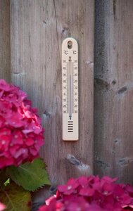 Nature thermometer plastic bruin - afbeelding 2