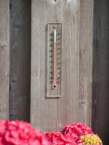 Nature thermometer plexiglas - afbeelding 2