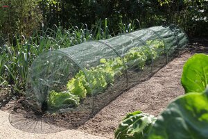 Nature tuin tunnelset 2in1 - afbeelding 2
