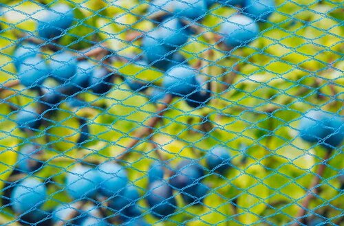 Nature tuinnet nano blauw 5x2 meter - afbeelding 2