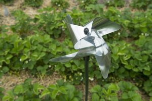 Nature vogelschrikmolen - afbeelding 2