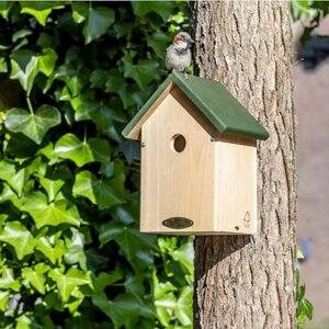 Nestkast Oklahoma hout - afbeelding 2