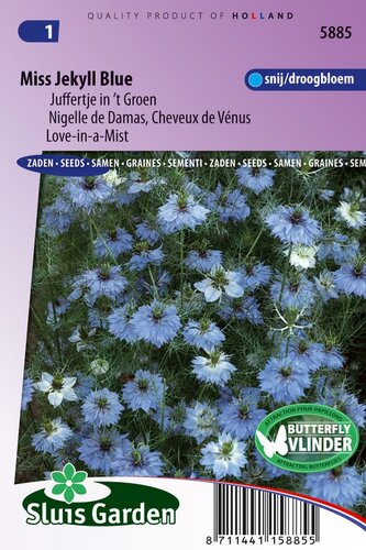 Nigella Damascena zaden Jekyll Blue juffertje in 't groen