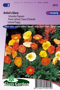 Papaver Nudicaule zaden Artist's Glory IJslandse