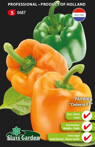 Paprika Delerio F1