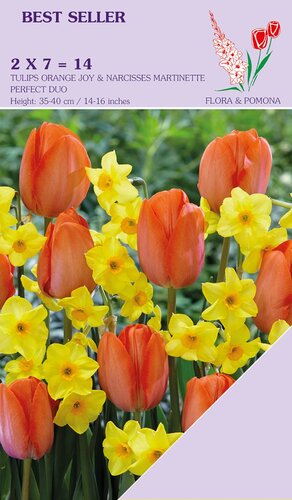 Perfect duo Narcis Martinette & Tulp Orange Joy 14 bollen