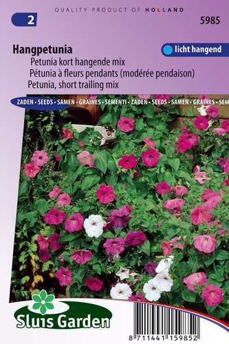 Petunia Hybride Pendula zaden Choice Mix hangpetunia