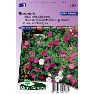 Petunia Hybride Pendula zaden Choice Mix hangpetunia