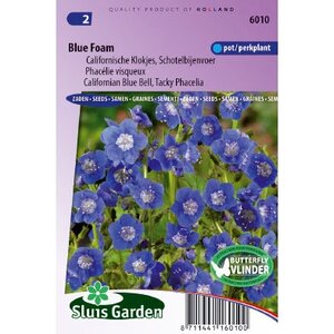 Phacelia Viscida comp. zaden Blue Foam droombijenvoer