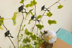 Nature plantclip in- & outdoor 2 maten - afbeelding 2