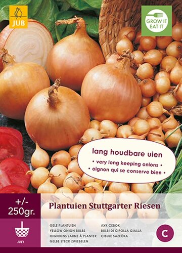 Plantuien Stuttgarter Riesen