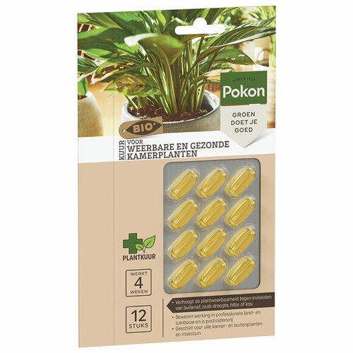 Pokon Bio Kuur Voor Weerbare en Gezonde Kamerplanten Capsules