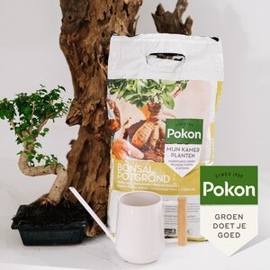 Pokon bonsai grond 5 liter - afbeelding 2