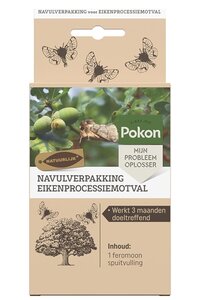 Pokon eikenprocessiemot navul