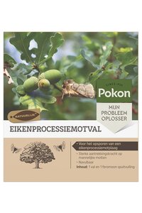 Pokon eikenprocessiemotval
