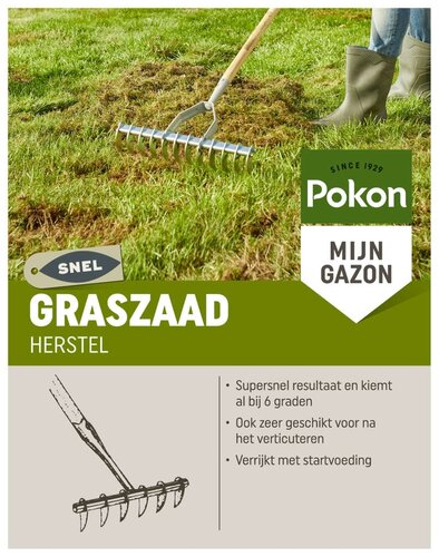 Pokon graszaad herstel 1 kg