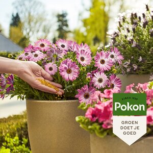 Pokon langwerkend strooibus 800 gram - afbeelding 2