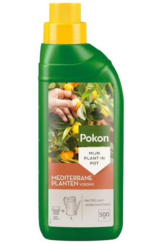 Pokon mediterrane planten voeding 500 ml