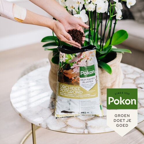 Pokon orchidee grond 5 liter - afbeelding 2