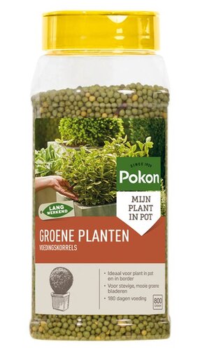 Pokon voedingskorrels groene planten 800 gram