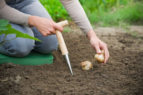 Nature pootstok - afbeelding 2